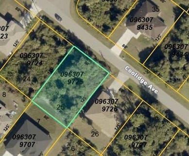 /international/us/coolidge-avenue-north-port-fl-110110341839/