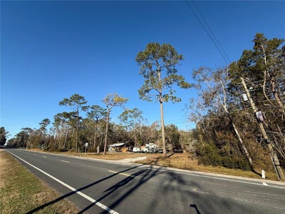 /international/us/71-se-state-road-24-bronson-fl-110120498236/