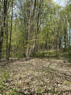 /international/us/120-floyd-ackert-road-west-park-ny-110099168181/?lang=zh-tw