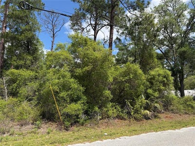 /international/us/maryland-street-paisley-fl-110107262761/