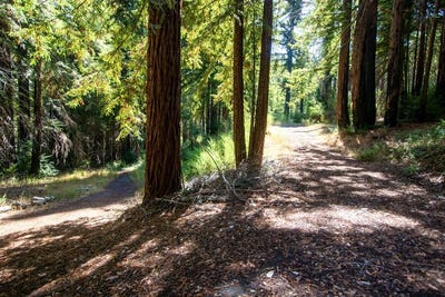 /international/us/19145-big-basin-way-boulder-creek-ca-110102615483/