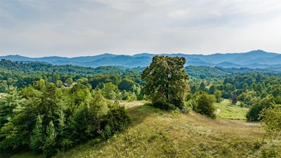 /international/us/tbd-cattle-dr-whittier-nc-110100585900/?lang=zh-tw