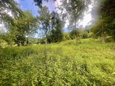 /international/us/malcolm-road-barboursville-wv-110099094899/