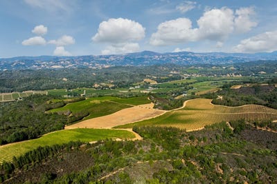/international/us/9965-w-dry-creek-road-healdsburg-ca-110101873372/