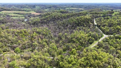 /international/us/59900-ramsey-ridge-road-jacobsburg-oh-110107587012/