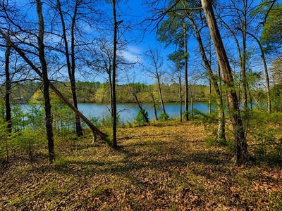 /international/us/519-terrapin-pointe-rd-hodges-sc-110108132088/