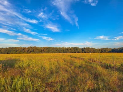 /international/us/county-road-2147-lot-c-kemp-tx-110110373331/
