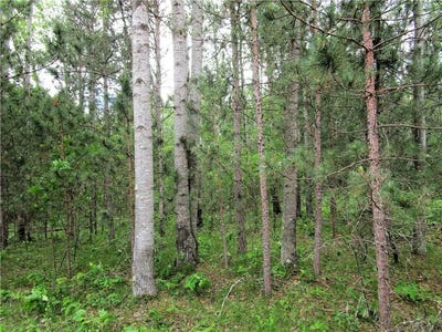 /international/us/lot-111-112-bridle-road-webster-wi-110100831544/
