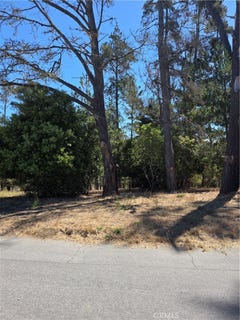 /international/us/2422-malvern-street-cambria-ca-110101460560/?lang=zh-tw