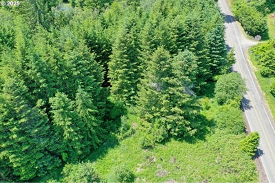 /international/us/0000-keasey-rd-vernonia-or-110100126007/