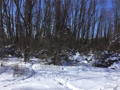 /international/us/creek-road-batavia-ny-110105276981/