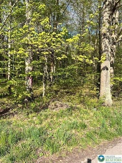 /international/us/318-birch-drive-tunkhannock-twp-pa-110108501613/