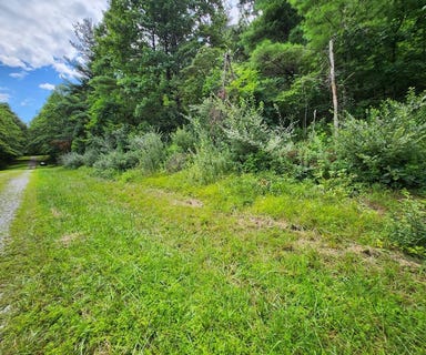 /international/us/lot-37-hickory-hollow-ln-copper-hill-va-110101145872/?lang=en