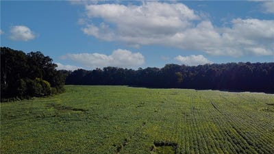 /international/us/0-sugar-valley-road-sugar-valley-ga-110087210998/