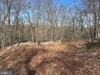 /international/us/2-08-acres-deer-path-road-augusta-wv-110097604279/?lang=zh-tw