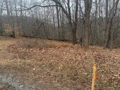 /international/us/ridge-dr-goodview-va-110104901568/