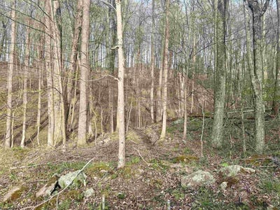 /international/us/serene-drive-lot-23-23a-grafton-wv-110107408123/