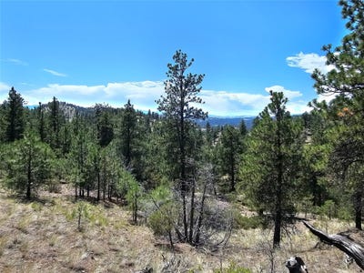 /international/us/nhn-upper-sawmill-creek-road-cascade-mt-110101314461/?lang=zh-tw