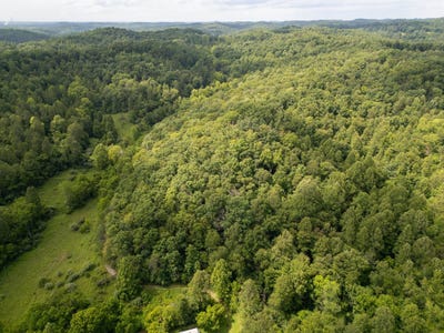 /international/us/517-lake-road-fort-gay-wv-110100318765/