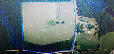 /international/us/county-road-43-coffee-springs-al-110102498977/