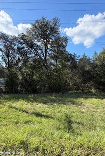 /international/us/ne-106th-terrace-williston-fl-110110193562/