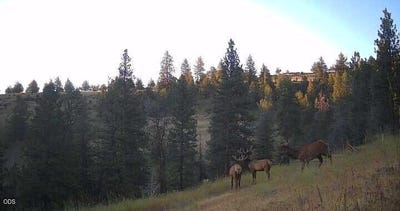 /international/us/44540-wind-creek-lane-dayville-or-110119654402/