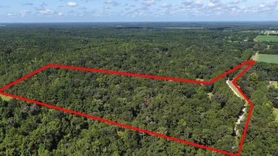 /international/us/nw-218th-lane-alachua-fl-110101003679/