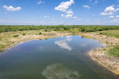 /international/us/1171-county-road-315-gouldbusk-tx-110108508032/
