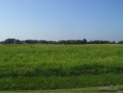 /international/us/4122-knab-road-drive-smithton-il-110003434994/?lang=zh-cn