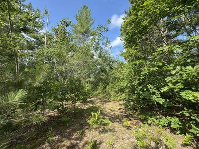 /international/us/10320-upper-mograin-road-cheboygan-mi-110101219566/