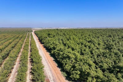 /international/us/8651-corona-avenue-lot-2-laton-ca-110108033646/