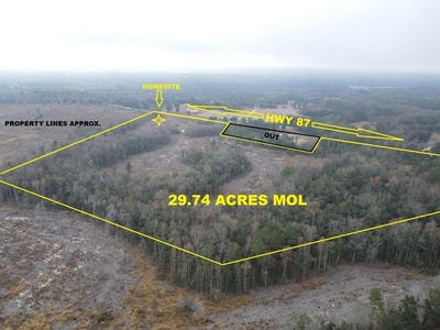 /international/us/29-74-acres-highway-87-samson-al-110106700176/