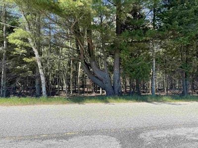 /international/us/tbd-little-harbor-rd-manistique-mi-110099607158/?lang=zh-tw