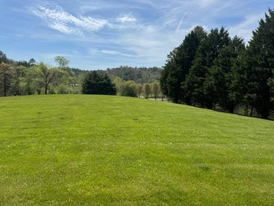 /international/us/2-2-acre-coopers-bluff-lot-3-revised-suches-ga-110107479258/