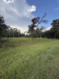 /international/us/lake-carroll-drive-lot-60-donalsonville-ga-110110270095/