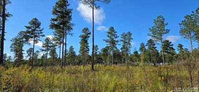 /international/us/millville-rd-lot-8-lawrenceville-va-110102920441/