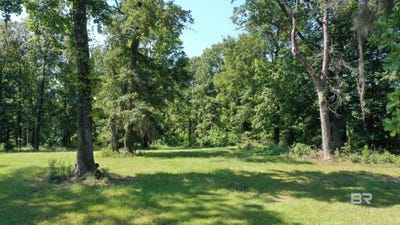 /international/us/judge-greene-place-road-lot-21-greensboro-al-110101726302/