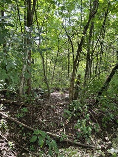 /international/us/2184-shadrick-ferry-road-frankfort-ky-110101499945/