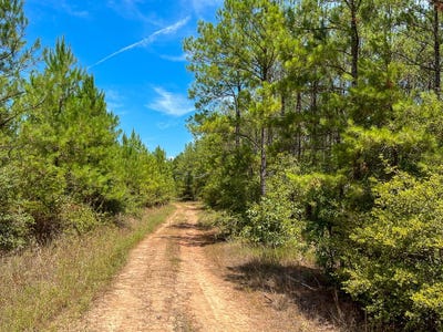 /international/us/lost-indian-camp-rd-huntsville-tx-110079076098/