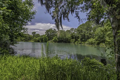 /international/us/58-beaver-pond-loop-pawleys-island-sc-110108347906/