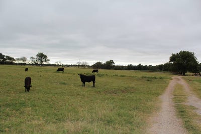 /international/us/tbd-e1720-rd-elmore-city-ok-110100095741/