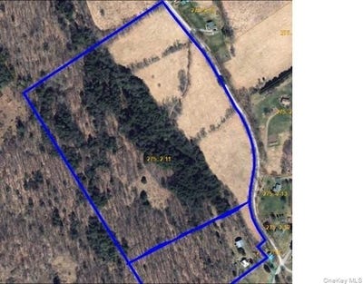 /international/us/275-1-11-budine-hill-road-walton-ny-110106466754/