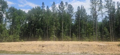 /international/us/lot-1-county-line-road-mitchell-ga-110100757375/?lang=es
