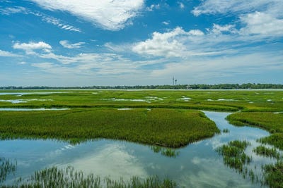 /international/us/242-little-oak-drive-folly-beach-sc-110108552867/