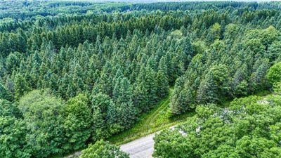 /international/us/5321-highlands-drive-italy-ny-110099324709/