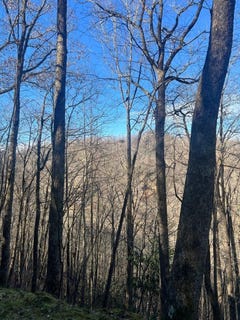 /international/us/mt-tabor-lot-2-topton-nc-110104577096/
