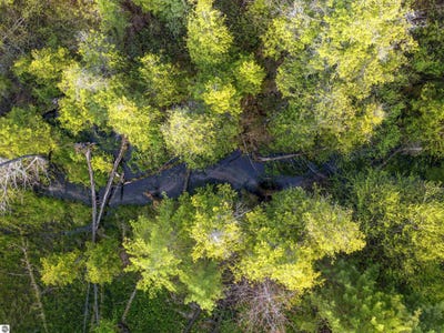 /international/us/00-honor-highway-interlochen-mi-110104867156/