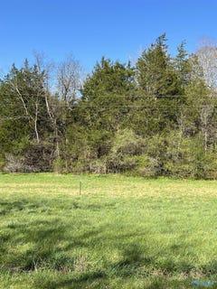 /international/us/tract-2-spring-valley-road-taft-tn-110090973703/?lang=zh-tw
