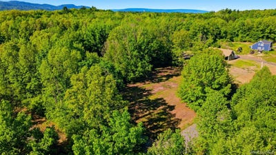 /international/us/238-bruceville-road-high-falls-ny-110108470052/