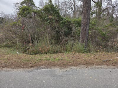/international/us/mitten-road-moncks-corner-sc-110105239015/